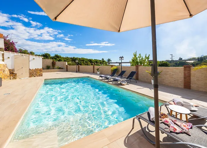 Naranjos フリヒリアナ