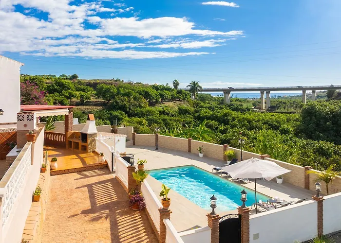 Naranjos Фрихилиана